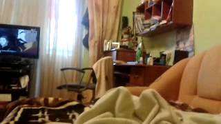 Боже какие ноги исполняет сестра и брат