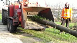 Bomen versnipperen op het Noordereiland met Morbark 2400XL