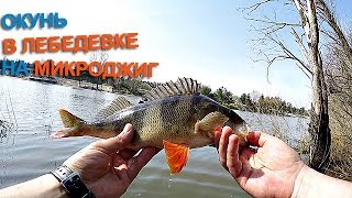 Ловля ОКУНЯ в ЛЕБЕДЕВКЕ!!!))) микроджиг на ОБВОДНОМ КАНАЛЕ!!!