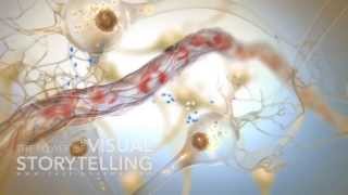 Neurology / Pain Mode of Action Showreel