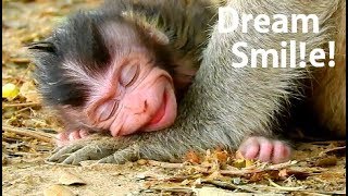 Smile-Smile WOOOW ! Surprise baby Allie smile show lovely face make you smile  follow her.