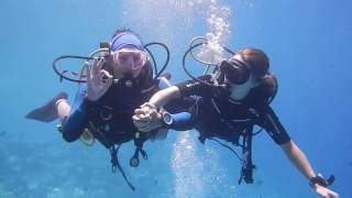 Stingray city Maldives