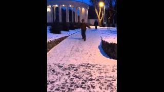 Прогулки по зимнему парку