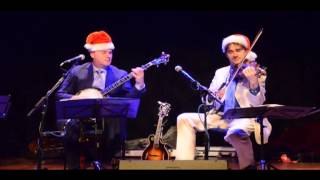 Simon Mayor's Mandolinquents: Little Rabbit