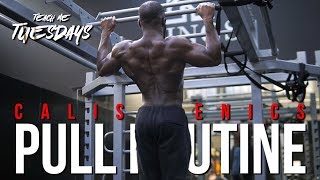 Calisthenics PULL Workout | How I created MY OWN Routine! | Gabriel Sey