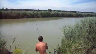 CARPFISHING CANAL BIANCO AMUR A MESOLA parte 1 di 2