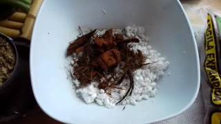 Montando um vaso e substrato de Nepenthes