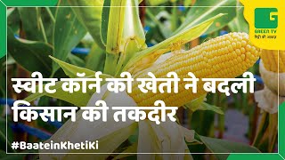 Sweet corn Farming (स्वीट काँर्न की खेती) In Baatein Kheti Ki - On Green TV