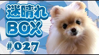 【BOX#27】争いは同レベルだから起こる。
