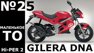 GILERA DNA