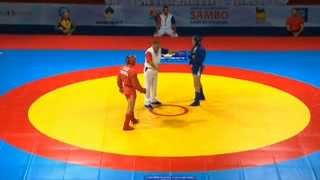 Murad Kerimov (Russia) VS Oleksandr Turovskyi (Ukraine). World Championship Combat Sambo 2013