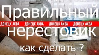 как сделать Нерестовик. сделать аквариум для нереста, аквариум для нереста рыб, Aquarium fish