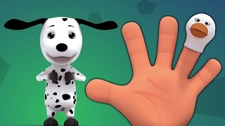палец семьи животное | палец семьи рифму | дети песня сборник | Animal Finger Family | Baby Song