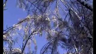 Ледяной дождь 2010