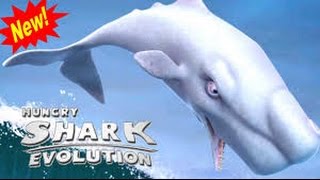 Обзор Обновление! Новая Акула Моби Дик ( Moby Dick )! Hungry Shark Evolution!