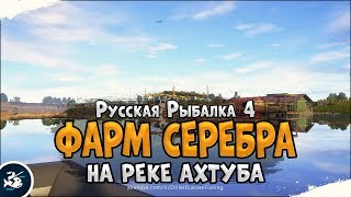 Фарм серебра на реке Ахтуба • Русская Рыбалка 4