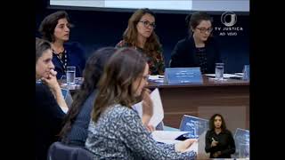 Audiência Pública - Descriminalização do aborto (4/4)