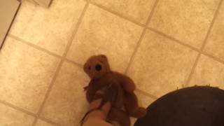 Poor teddy trample
