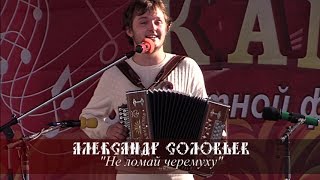 Александр Соловьев - Не ломай черемуху