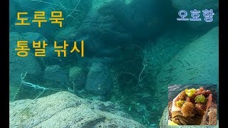 고성 도루묵 통발 낚시. 오호항!! 수중 영상보니 많이 보이네요!!