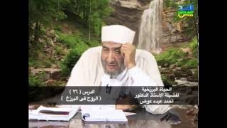 الروح في البرزخ | الحياه البرزخيه 26