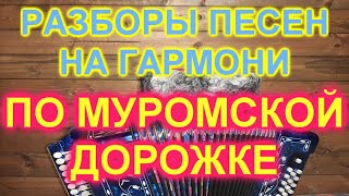 РАЗБОРЫ! По муромской дорожке