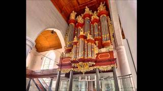 J. S. Bach - Toccata and Fugue in D minor, BWV 565 - T. Koopman
