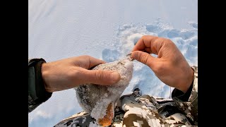 Классный клев окуня на озере Ендра!!! 1 часть .  (Рыбалка в ХМАО) 18.12.2019