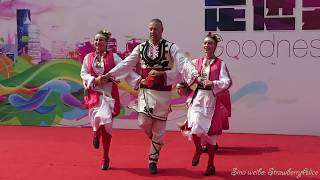 【Strawberry Alice】2017 Shanghai Tourism Festival: Dance Formation SOFISTIK-JIVO & Vangeloff, 12/09.
