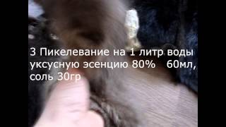 Выделка шкур нутрии