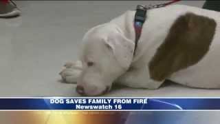 Rescued dog saves family from fire