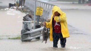 Houston bajo el Agua | Imágenes que Debes Ver