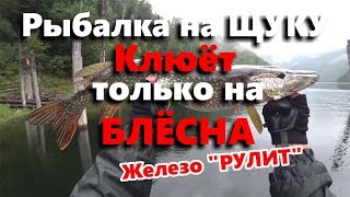 Рыбалка у "БЕЛОЙ СКАЛЫ" Саяно-Шушенское водохранилище