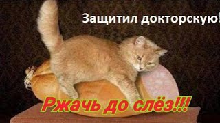 10 МИНУТ РЖАЧА ДО СЛЁЗ ЛУЧШИЕ ПРИКОЛЫ ИЗ ВСЕГО МИРА (2020) ПРОСТО СМЕХ И УМОРА