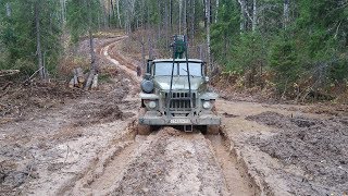 Урал Лесовоз в деле Вывозка леса в сырую погоду...