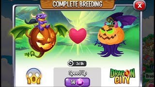 Dragon City: Evil Pumpkin Dragon vs Jack-o'-lantern Dragon [EXCLUSIVE BREEDING] ?