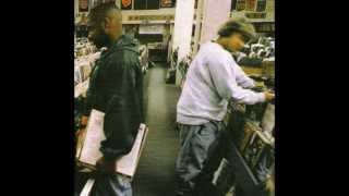 Funktuall DJ Breakdown - DJ Shadow Changeling (Droog Architector)