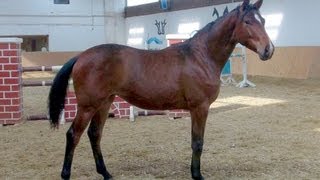 Take it easy *2012 ( Totilas x Sandro Hit ) 04.04.2013