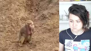 С ВОДОЙ ВО РТУ ПОПРОБУЙ НЕ ЗАСМЕЯТЬСЯ ЧЕЛЛЕНДЖ ! САМОЕ СМЕШНОЕ ВИДЕО В МИРЕ ЧЕЛЛЕНДЖ