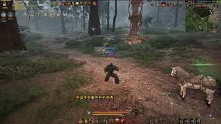 Black Desert, Камень "Трехногий осьминог" (Three-tentacled Octopus Boulder)