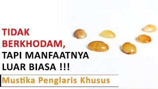 Kenapa Tidak Ada Energi Khodam Di Dalam Mustika Penglaris Khusus