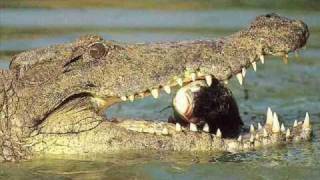 This is Australia - Beach to Outback