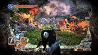 [Dark Souls 2] Soul Vessel, Bonfire Ascetic, Fire Seed Farming and more