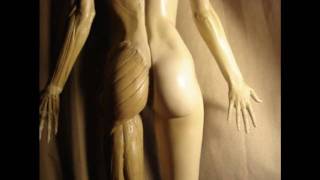 Female Anatomy Model for Students
