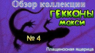 Хитрая ПЛАЩЕНОСНАЯ ЯЩЕРИЦА из коллекции ГЕККОНЫ МАКСИ