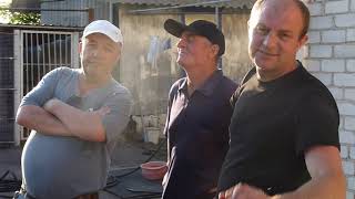 Голуби Змеева В.И. тел. Снова в гостях.