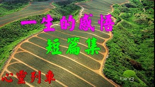 【心靈列車 】 一生的感悟短篇集：夢想，是對美好未來的憧憬；夢想，是成功後的滿足。 把夢想亮出來，不要封存夢想，朝著你喜歡的方向前進，自己選擇的路，跪著也要走完。