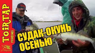 Мы испытывали Favorite Shard, а погода испытывала нас! Осенняя ловля Судака и Окуня
