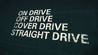 World Cricket Championship 2 - NEVER DRINK & DRIVE