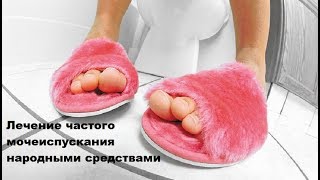 Лечение частого мочеиспускания народными средствами